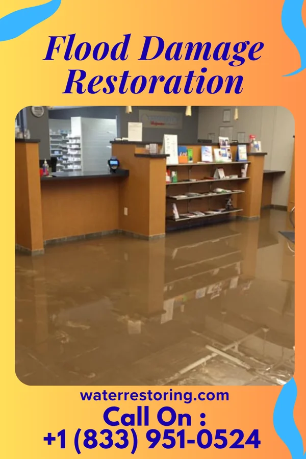 Flood Damage Restoration in Marlboro Village, MD