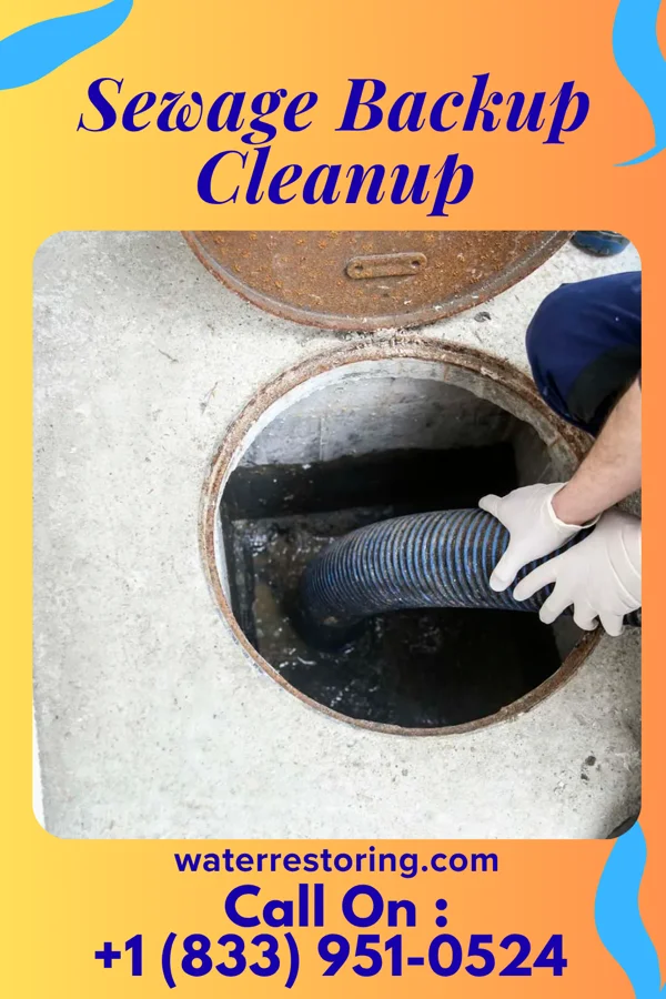 Sewage Backup Cleanup in Marlboro Village, MD