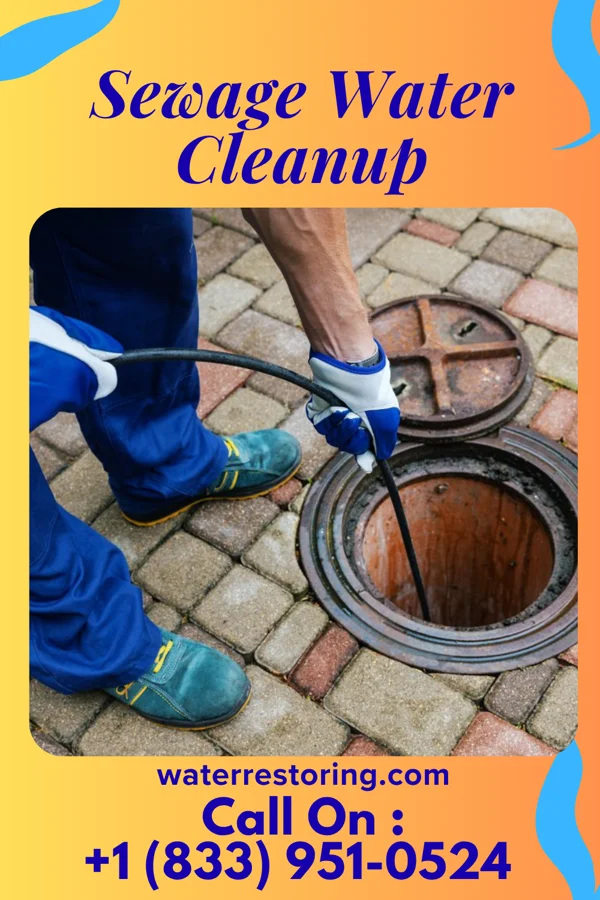 Sewage Water Cleanup in Marlboro Village, MD