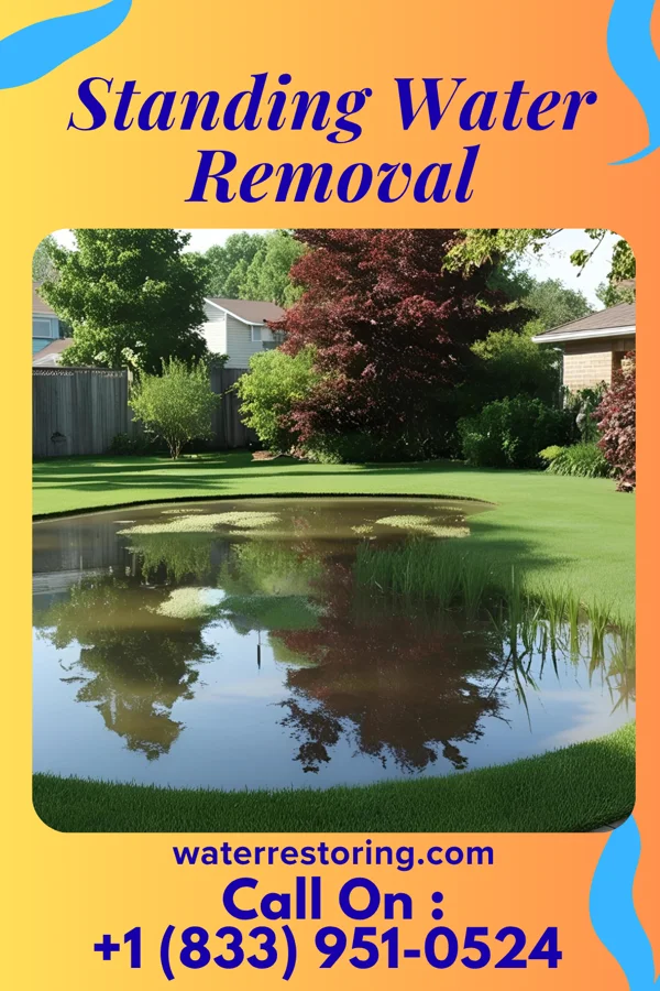 Standing Water Removal in Marlboro Village, MD